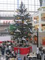 IMG_2266.JPG
