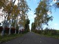 IMG_2027.JPG