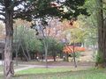 IMG_1917.JPG