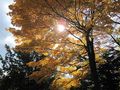 IMG_1930.JPG
