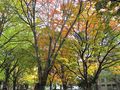 IMG_1931.JPG