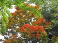IMG_1934.JPG