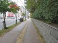 IMG_1936.JPG