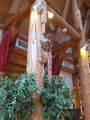 IMG_1879.JPG