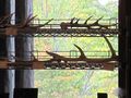 IMG_1878.JPG