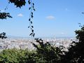 IMG_1702