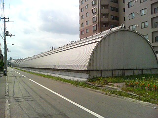 DSC01339.JPG