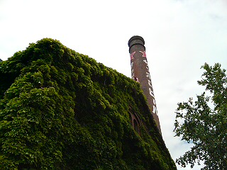 DSC01293.JPG