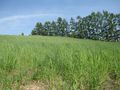 Img_1019