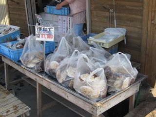 IMG_0901