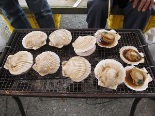 IMG_0925