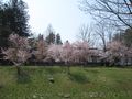 IMG_0818