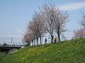 IMG_0826