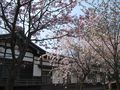 IMG_0827