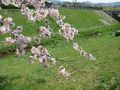 IMG_0832