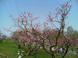 DSC01287.JPG