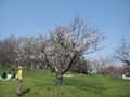 IMG_0800