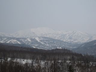 IMG_0762