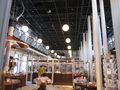 IMG_0584