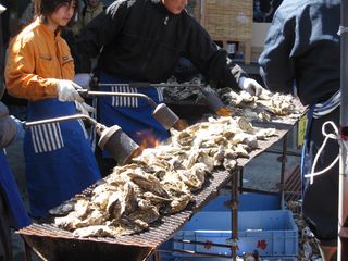 IMG_0547