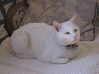 IMG_0429[1]