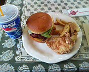 DSC00527.JPG