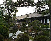 DSC00434.JPG
