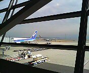 DSC00392.JPG