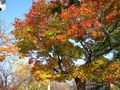 IMG_2205.JPG