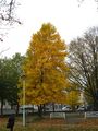 IMG_2078.JPG