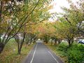 IMG_2090.JPG