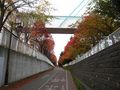 IMG_2099.JPG