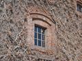 IMG_0095[1]