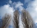 IMG_0119[1]