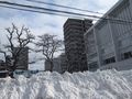 IMG_0062[1]