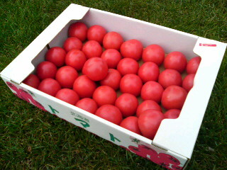 20080830145927.jpg