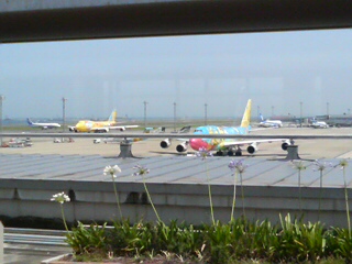 DSC01038.JPG