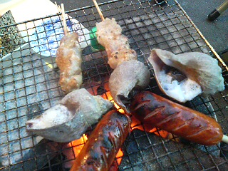 DSC01011.JPG