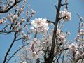 SANY0004_edited