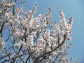 SANY0005_edited
