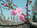 SANY0009_edited