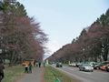 SANY0031_edited