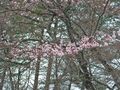 SANY0040_edited