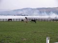 SANY0054_edited