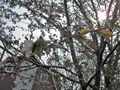 SANY0005_edited