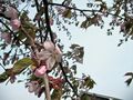SANY0006_edited