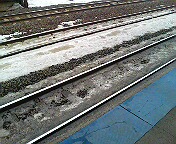 DSC00916.JPG