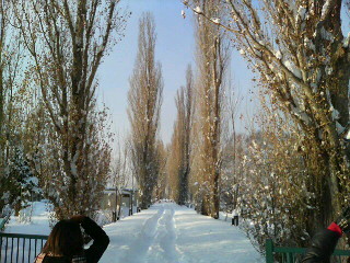 20080119153834.jpg