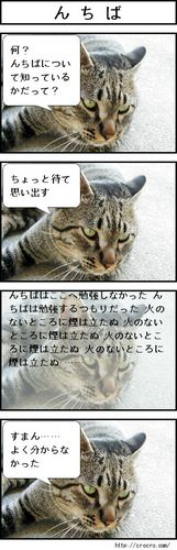 Nchiba4koma