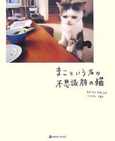 まこという名の不思議顔の猫 (マーブルブックス)